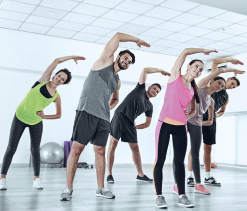 PROFESSIONNEL DE L'ACTIVITÉ PHYSIQUE / ÉTUDIANT